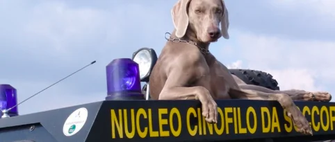 Addio al cane da soccorso Greta